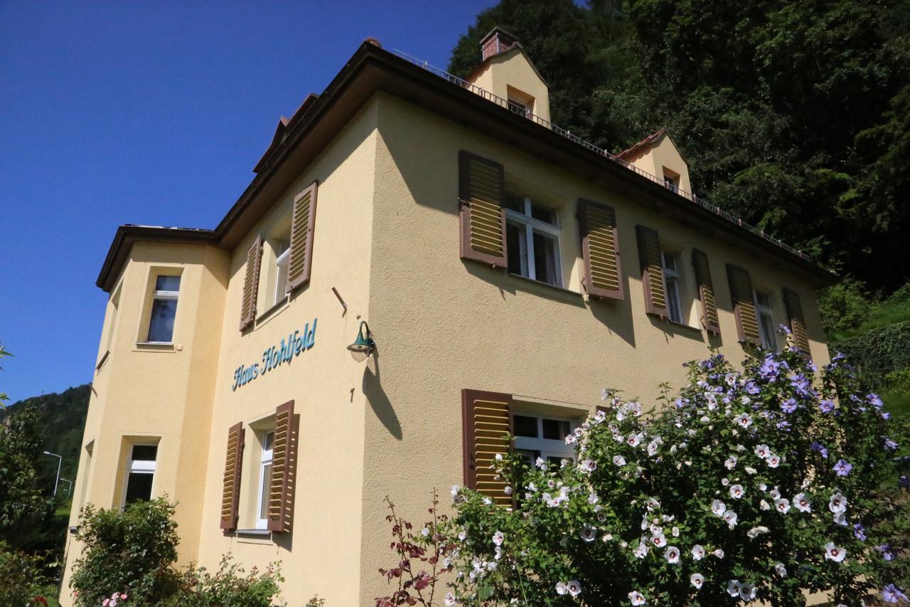 Haus Hohlfeld Apartment Bad Schandau Ngoại thất bức ảnh