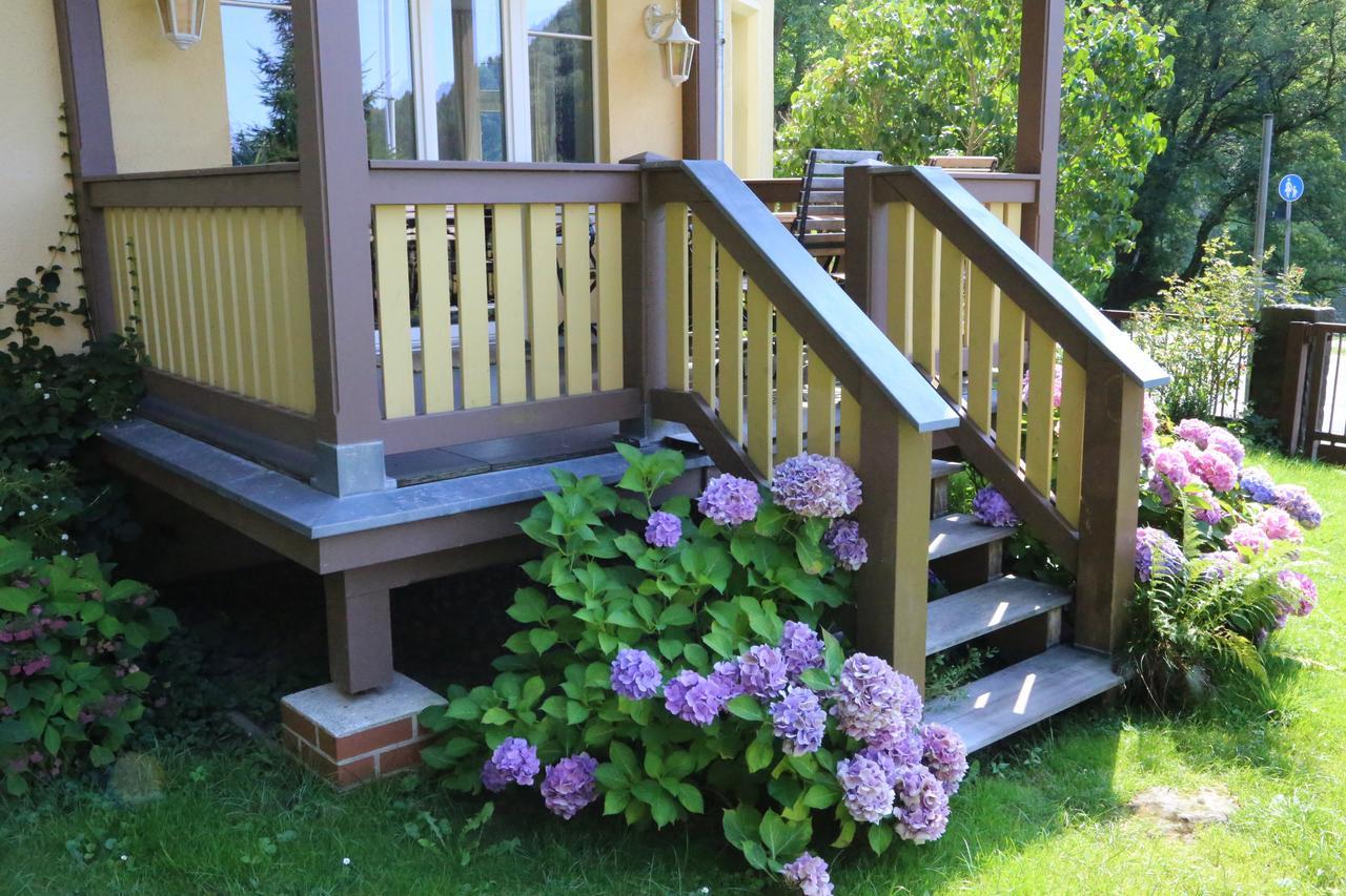 Haus Hohlfeld Apartment Bad Schandau Ngoại thất bức ảnh